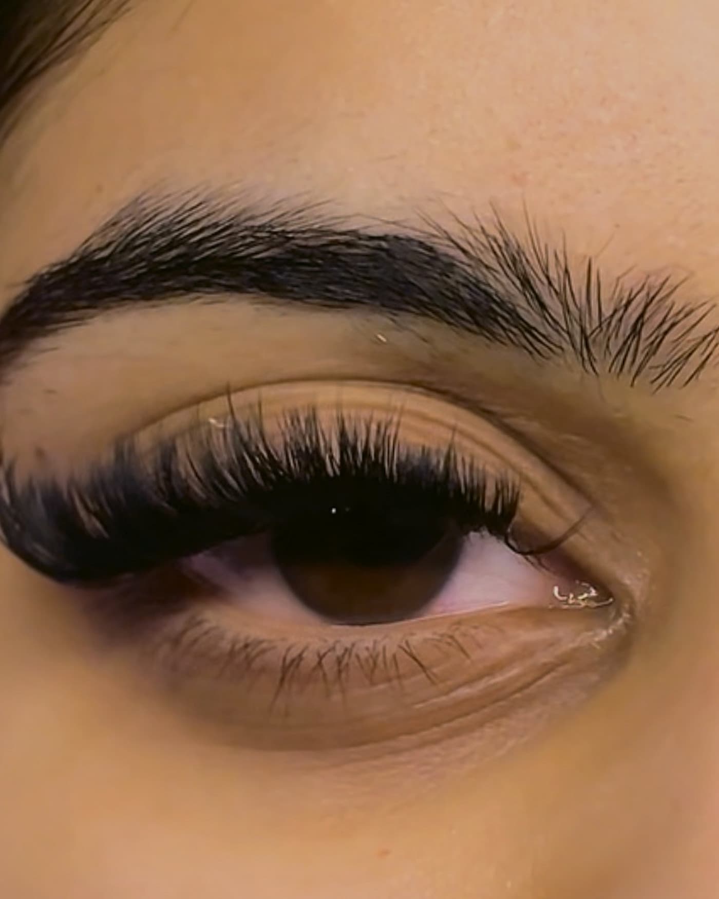 Close-up of a client's full, dark lash set by Lashout